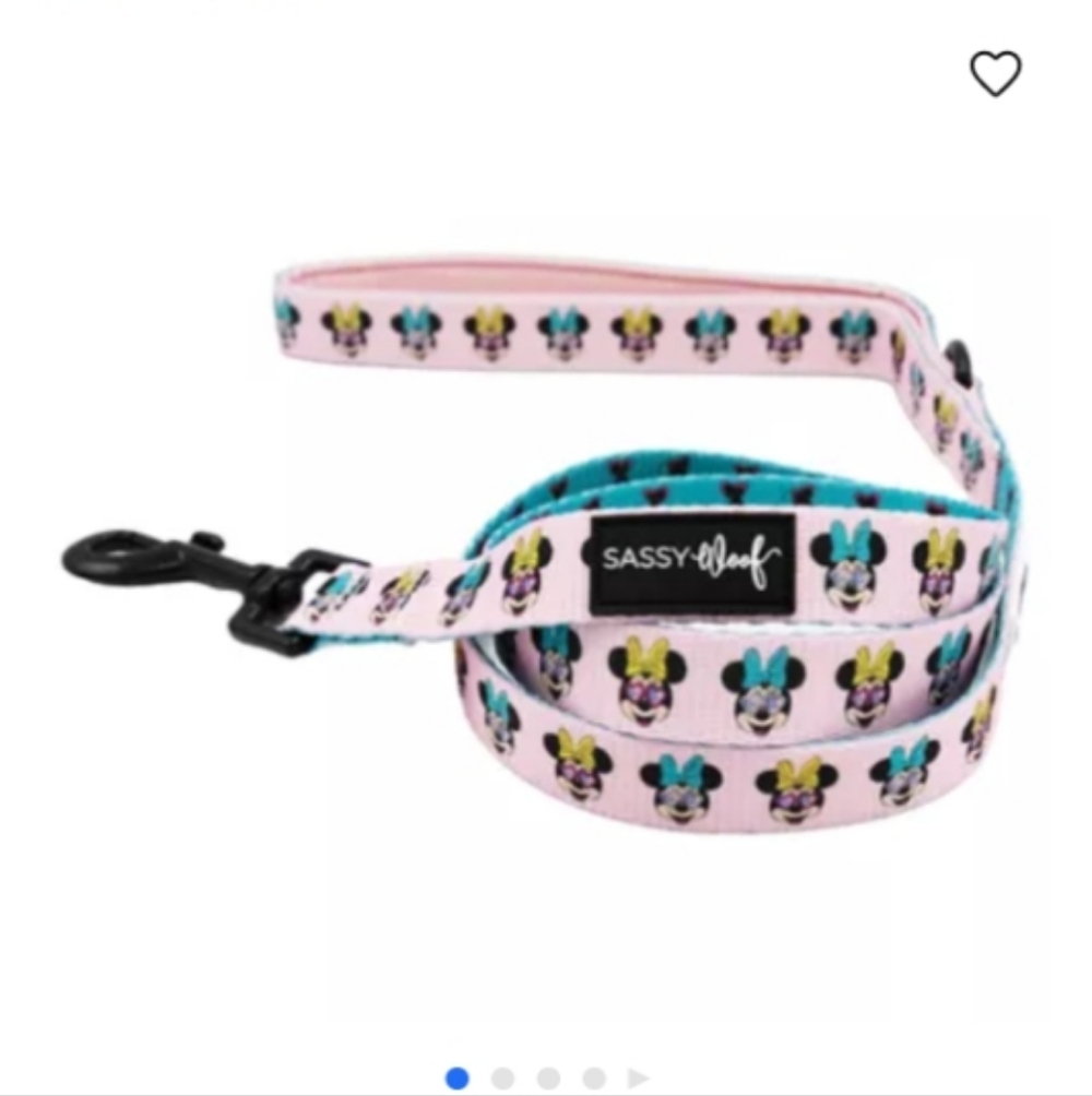 NWT Sassy Woof & Disney Minnie Mouse Dog Leash - Pink and Blue